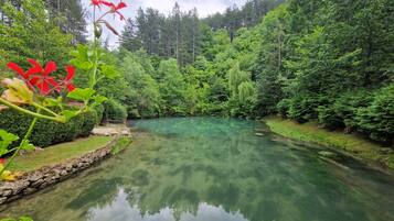 Rumah | Halaman properti