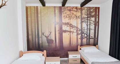 Apartments Homolje Morning