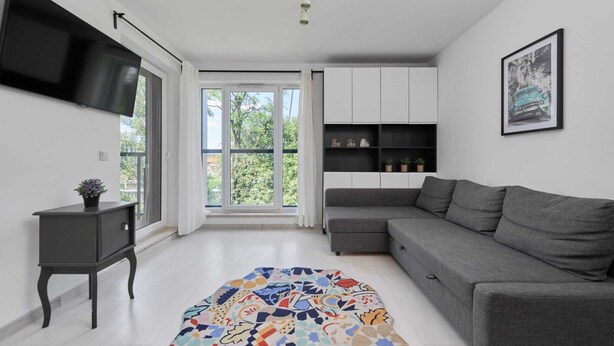A modern living room with a grey sofa, a flat-screen TV mounted on the wall, a small side table with a plant, and a colorful rug.