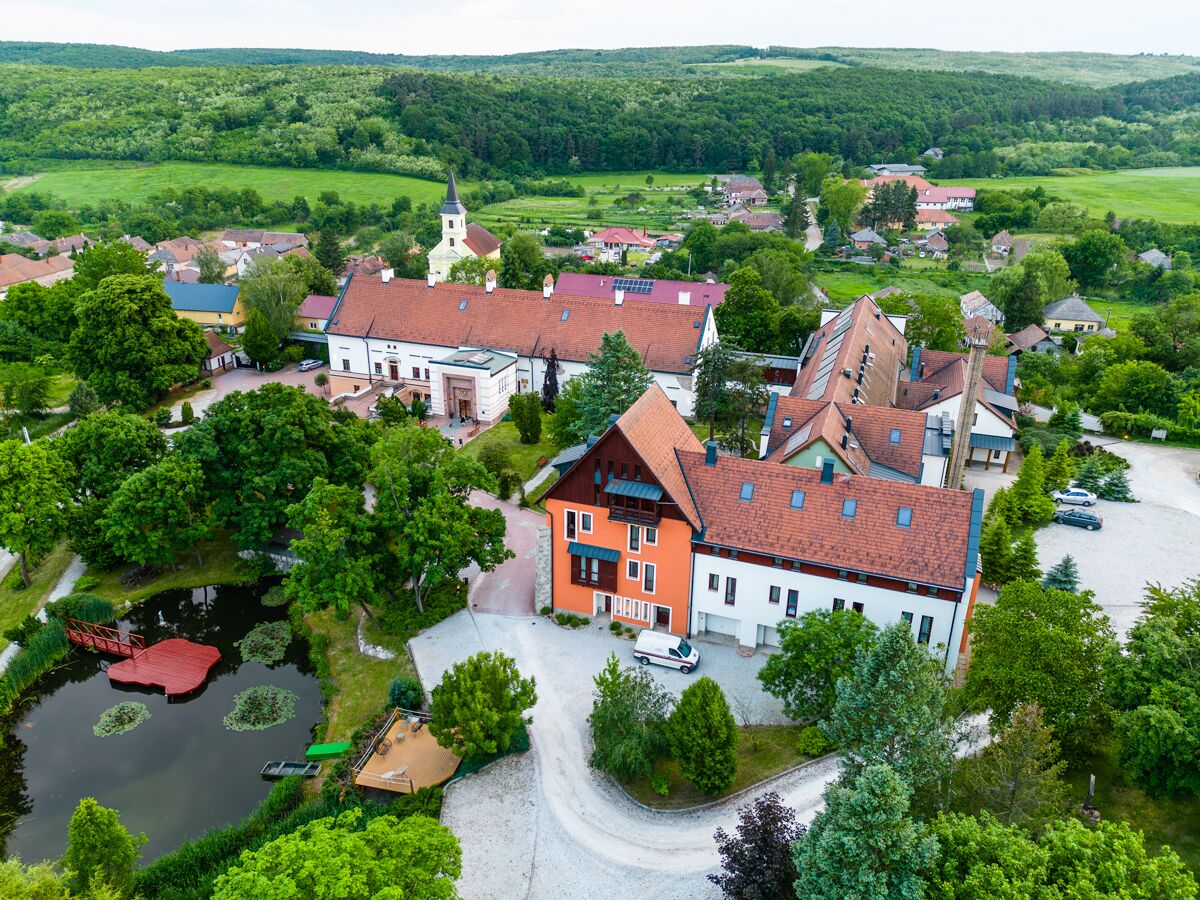An aerial view of a village with traditional architecture, a church, and a pond with a bridge.