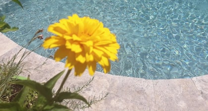 Gite du Midi, Cooconing, Clim Réversible, au Calme, rez de Jardin