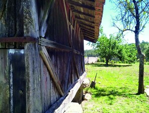Dettaglio esterni