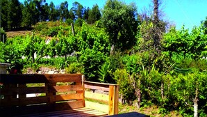 A wooden bench in a garden with a vineyard in the background.