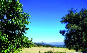 Terrain de l’hébergement