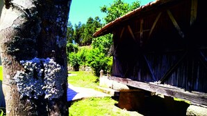 A rustic wooden building with a sloped roof, situated next to a large tree.