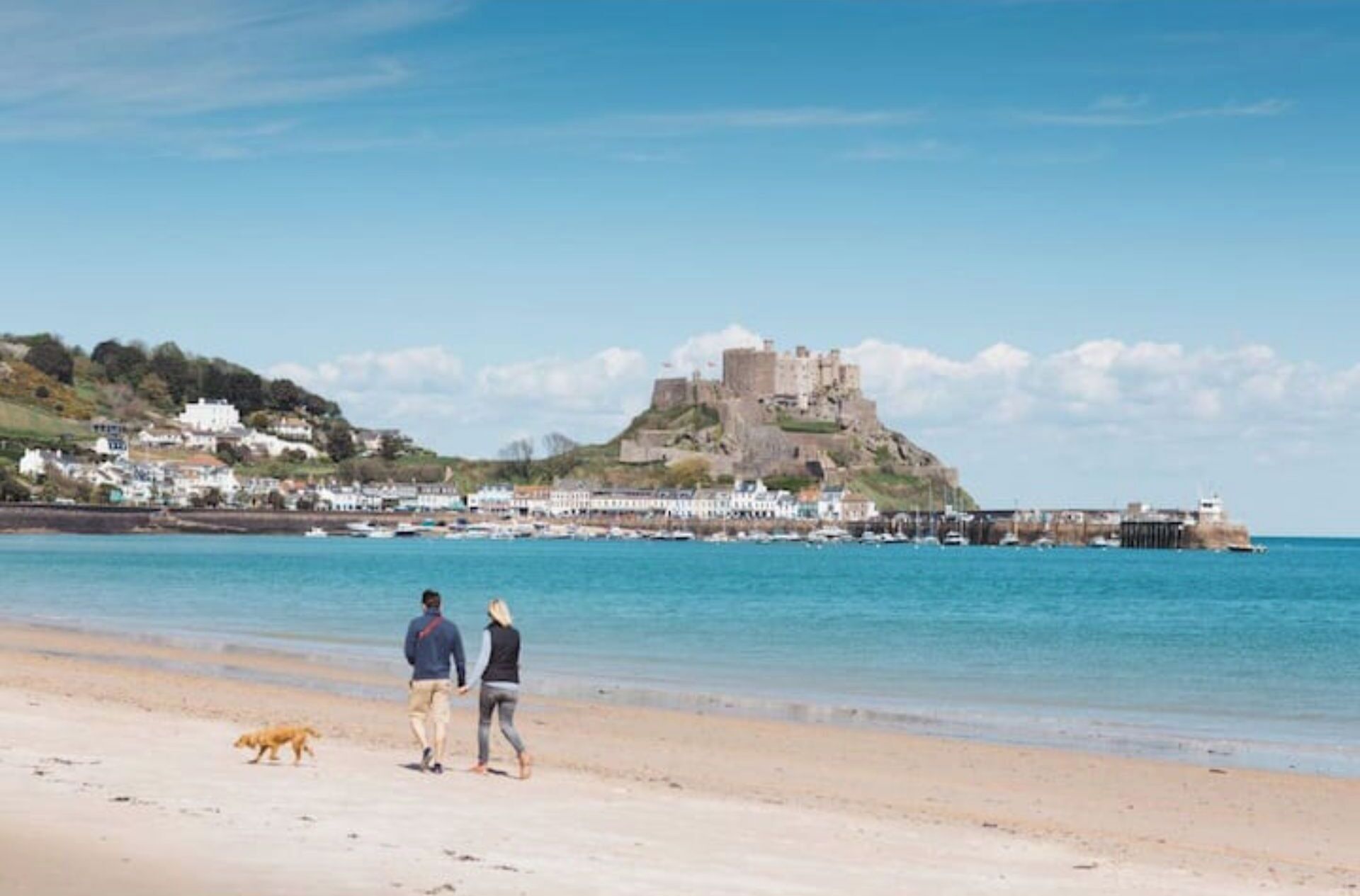 Une plage avec un château perché sur une colline, une jetée avec des bateaux et un chien sur le sable.