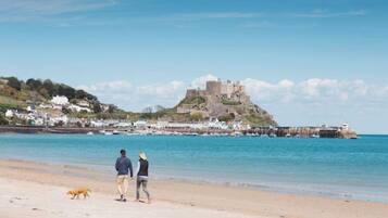 Une plage avec un château perché sur une colline, une jetée avec des bateaux et un chien sur le sable.