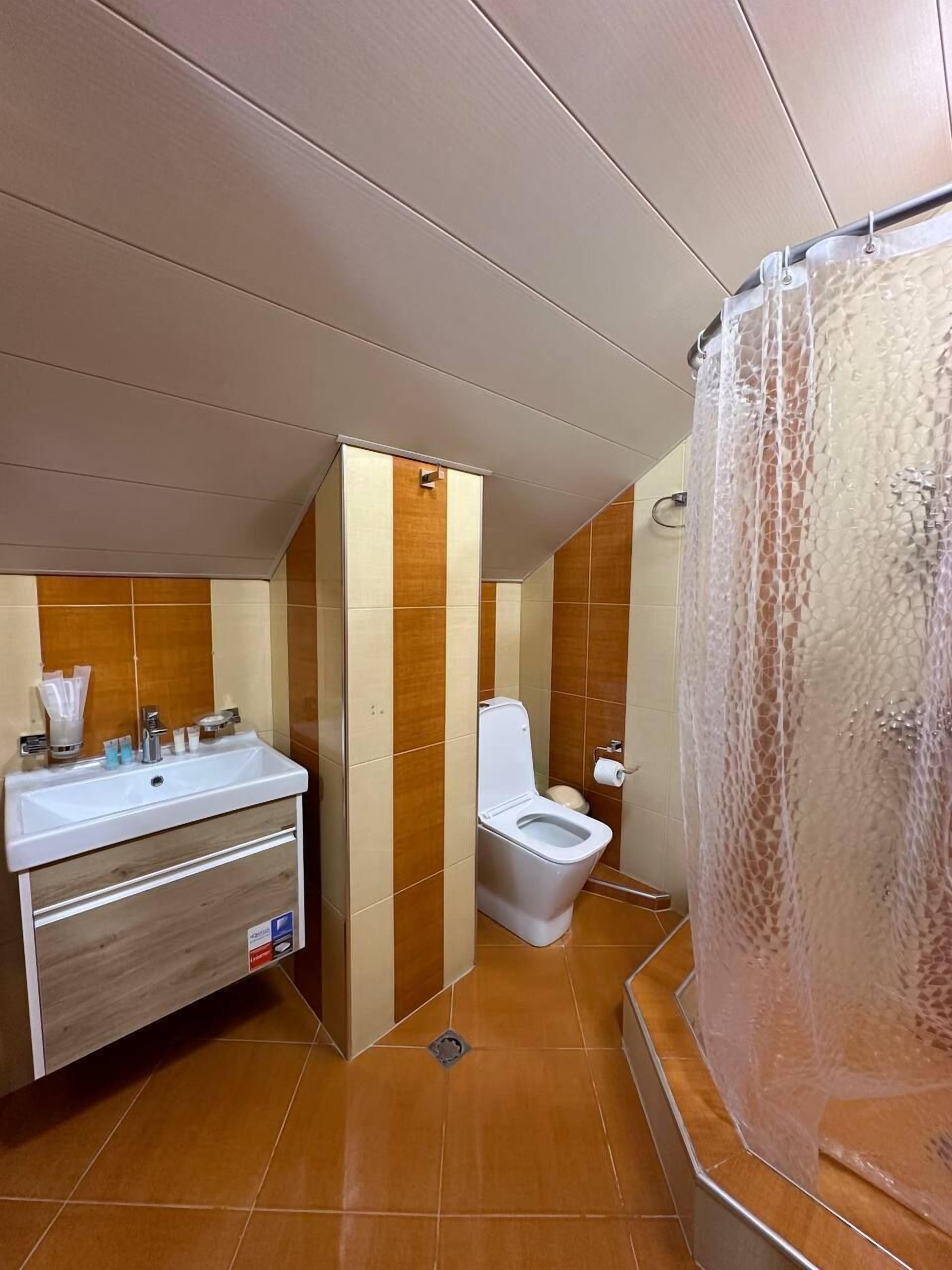 A bathroom with a sink, toilet, and shower curtain.