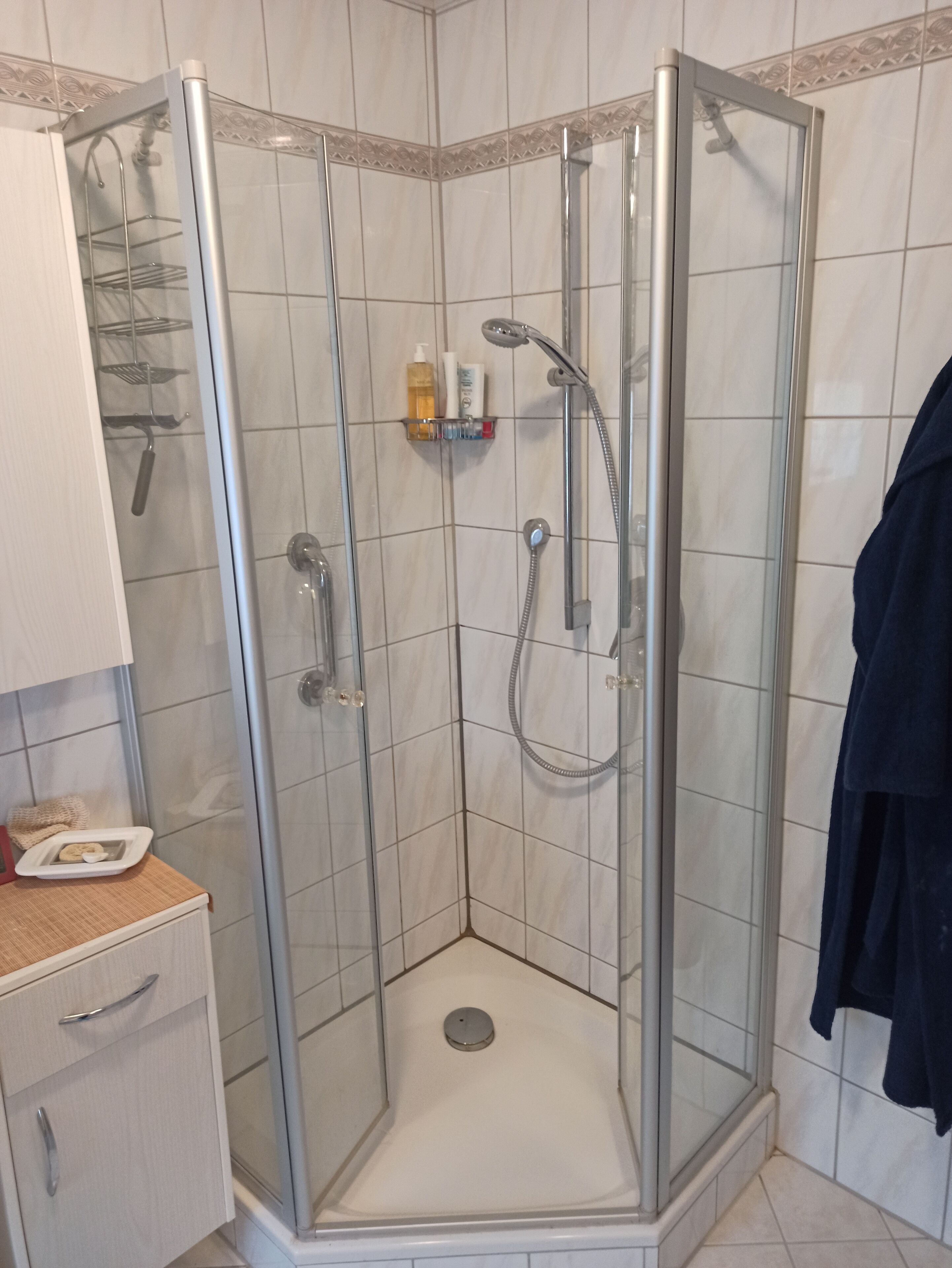Une cabine de douche fermée par des parois en verre, dotée d’un pommeau de douche à main et d’un robinet mural.