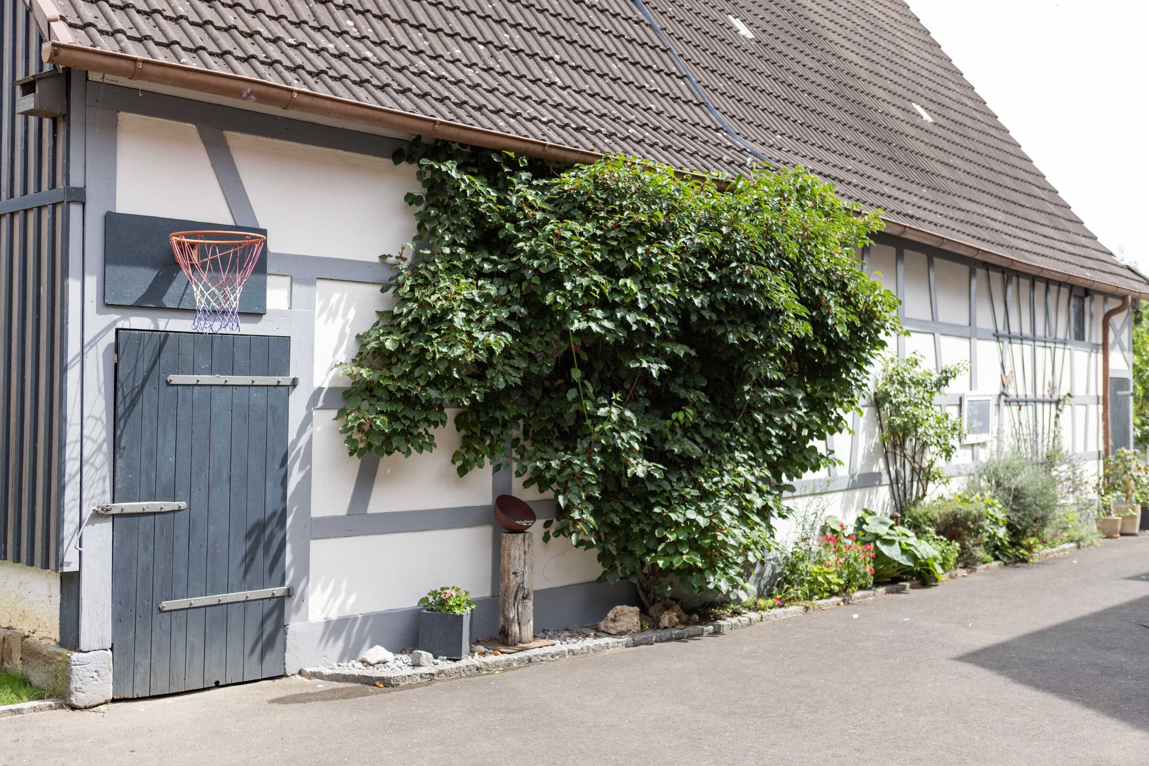Ein Gebäude mit Basketballkorb, Holztür und einer mit Efeu bewachsenen Wand.