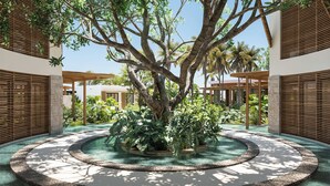 A large tree in a circular water feature surrounded by a wooden pergola. - Secrets Playa Blanca Costa Mujeres - Adults Only - All Inclusive (Costa Mujeres)