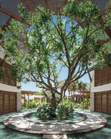 Body treatments, hydrotherapy, body wraps, body scrubs, facials