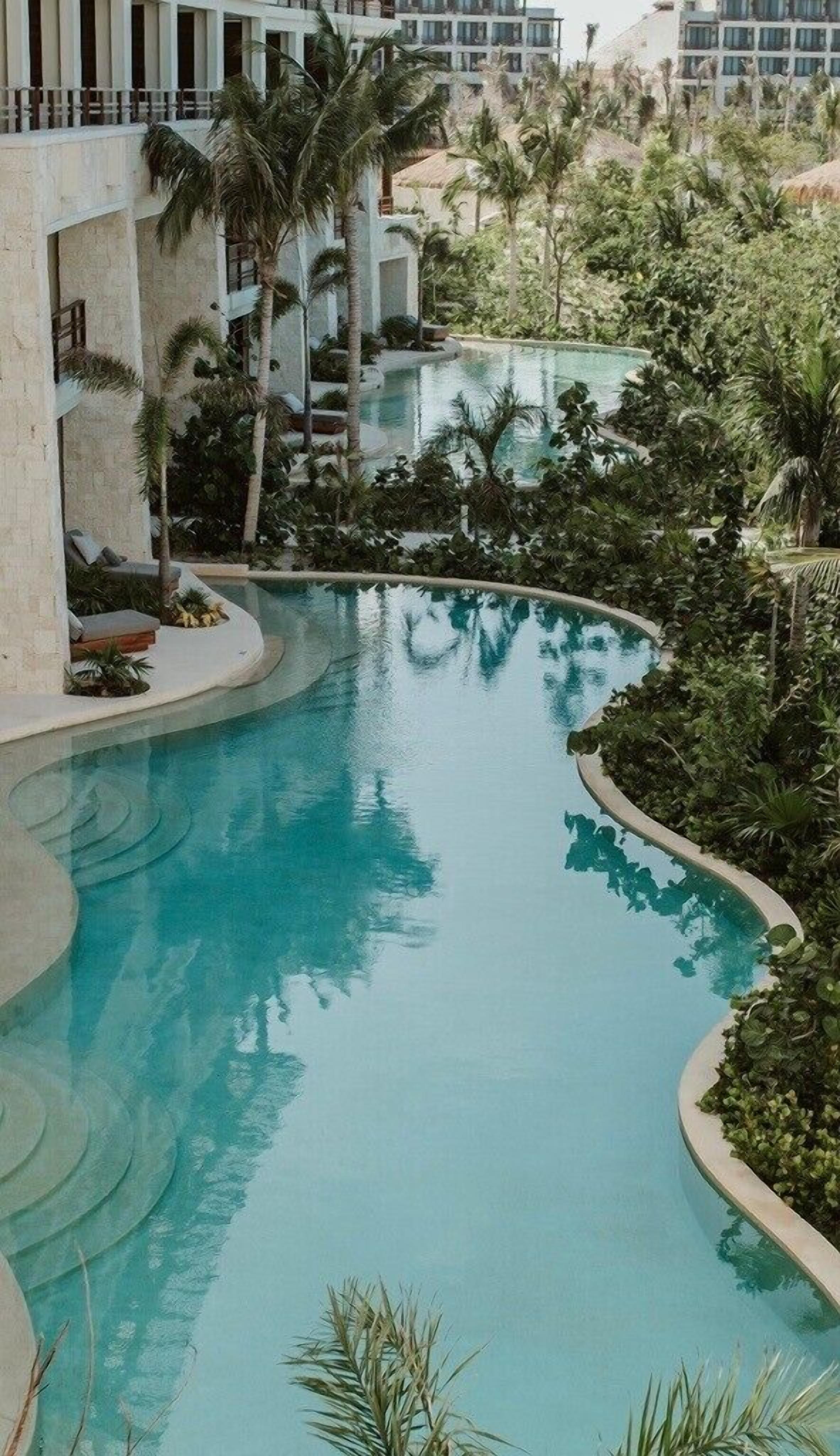 A curved swimming pool surrounded by palm trees and greenery, with a building in the background.