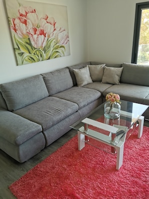 Smart TV, music library