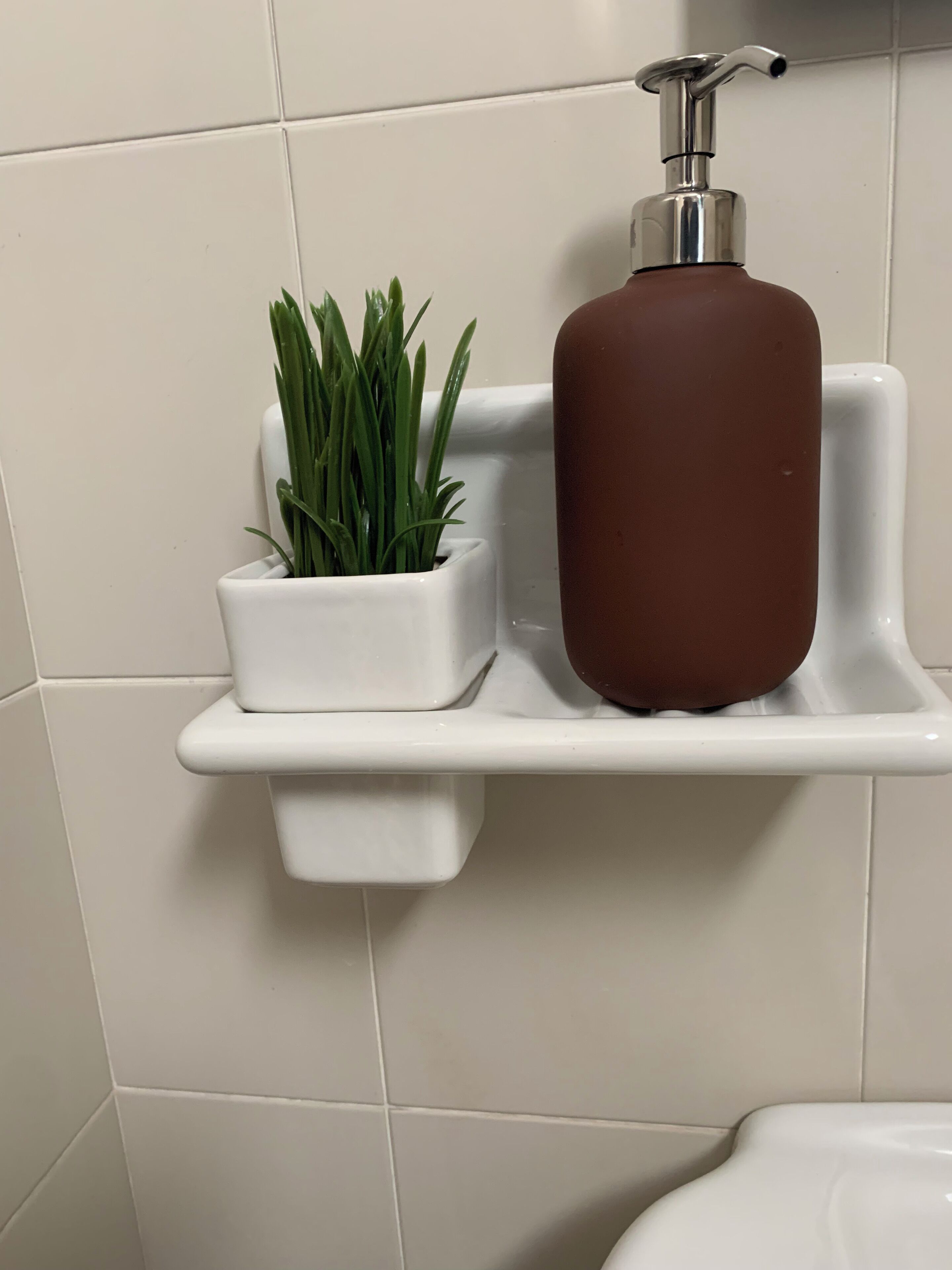 Een badkamerplankje met een potplant en een bruine fles.