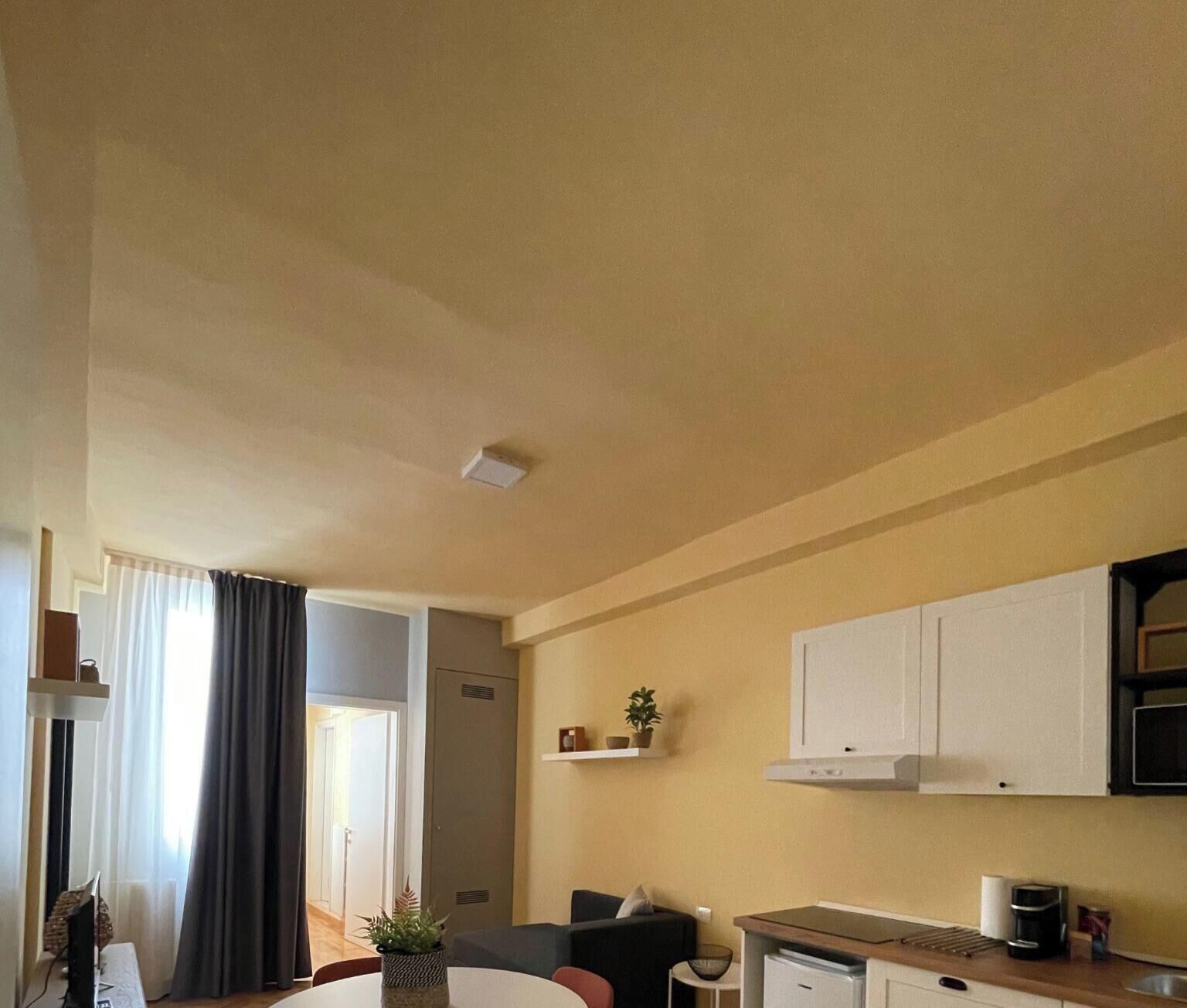 Executive Apartment (12) | Private kitchen | Electric kettle, highchair