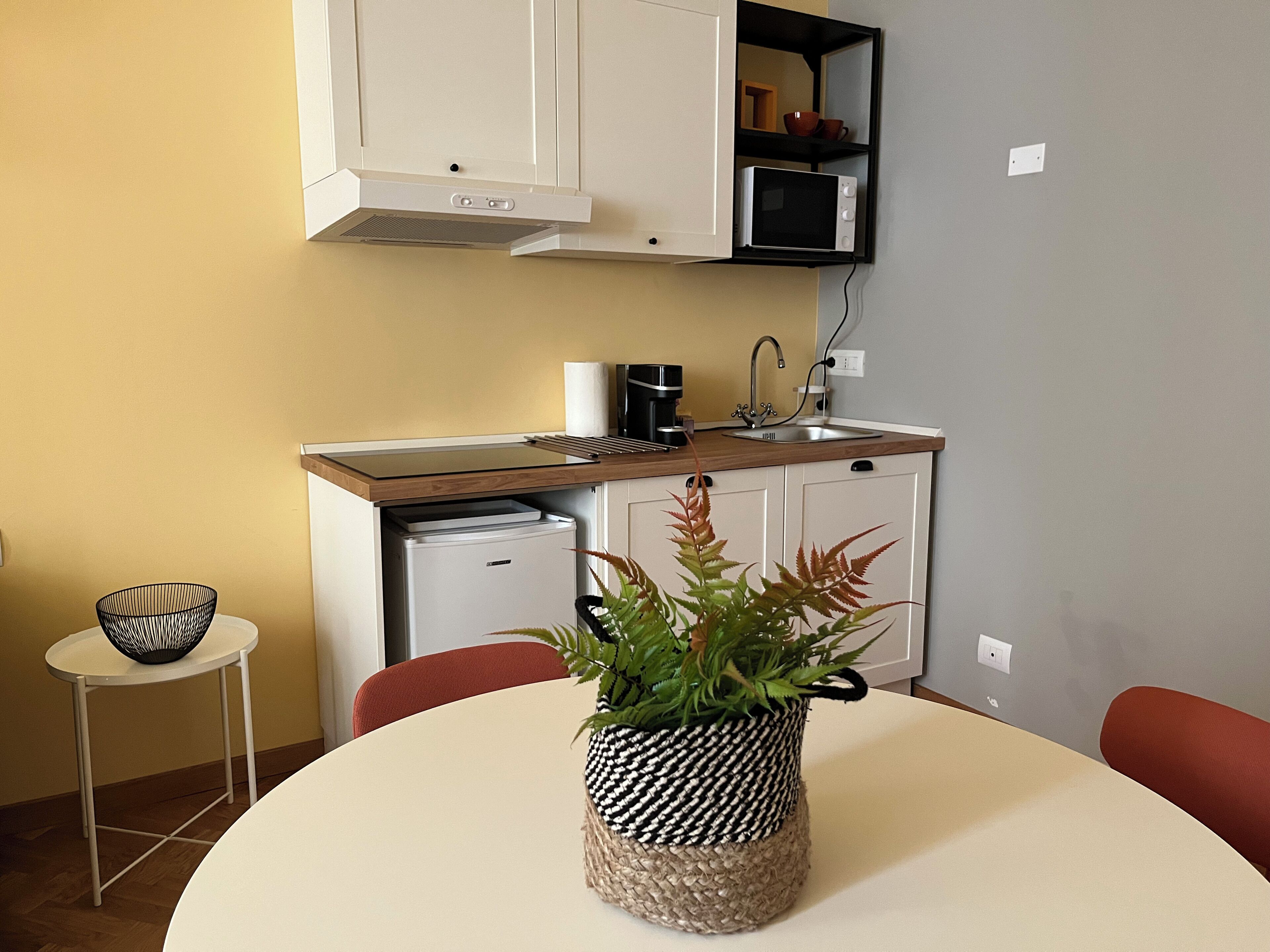 Cozinha compacta com micro-ondas, pia e pequena geladeira. Um vaso com planta sobre a mesa de jantar.