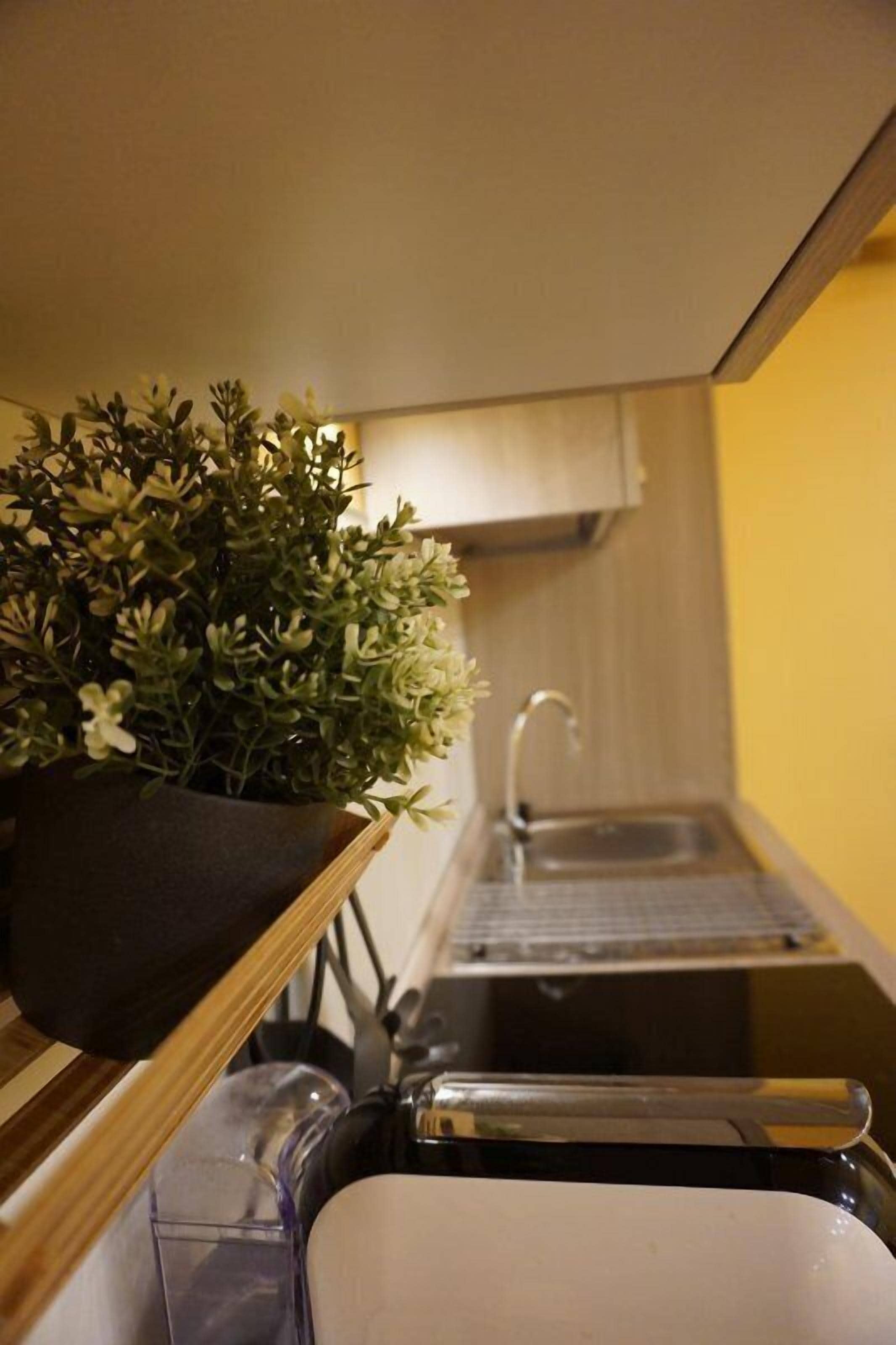 Une cuisine de taille réduite, équipée d’un évier, d’un petit plan de travail et d’une plante en pot.