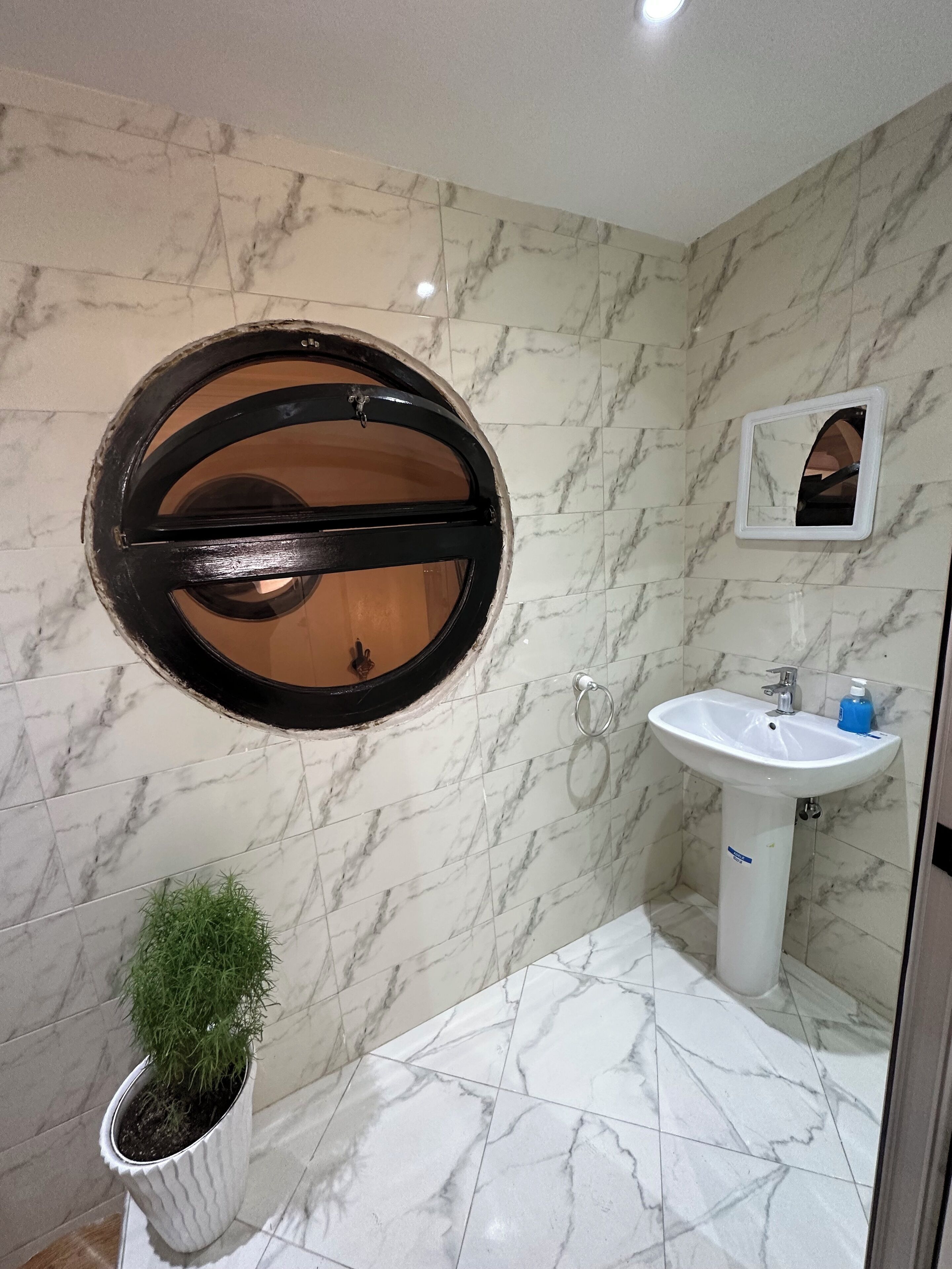 Photo - Dinosaur Anza Surf House