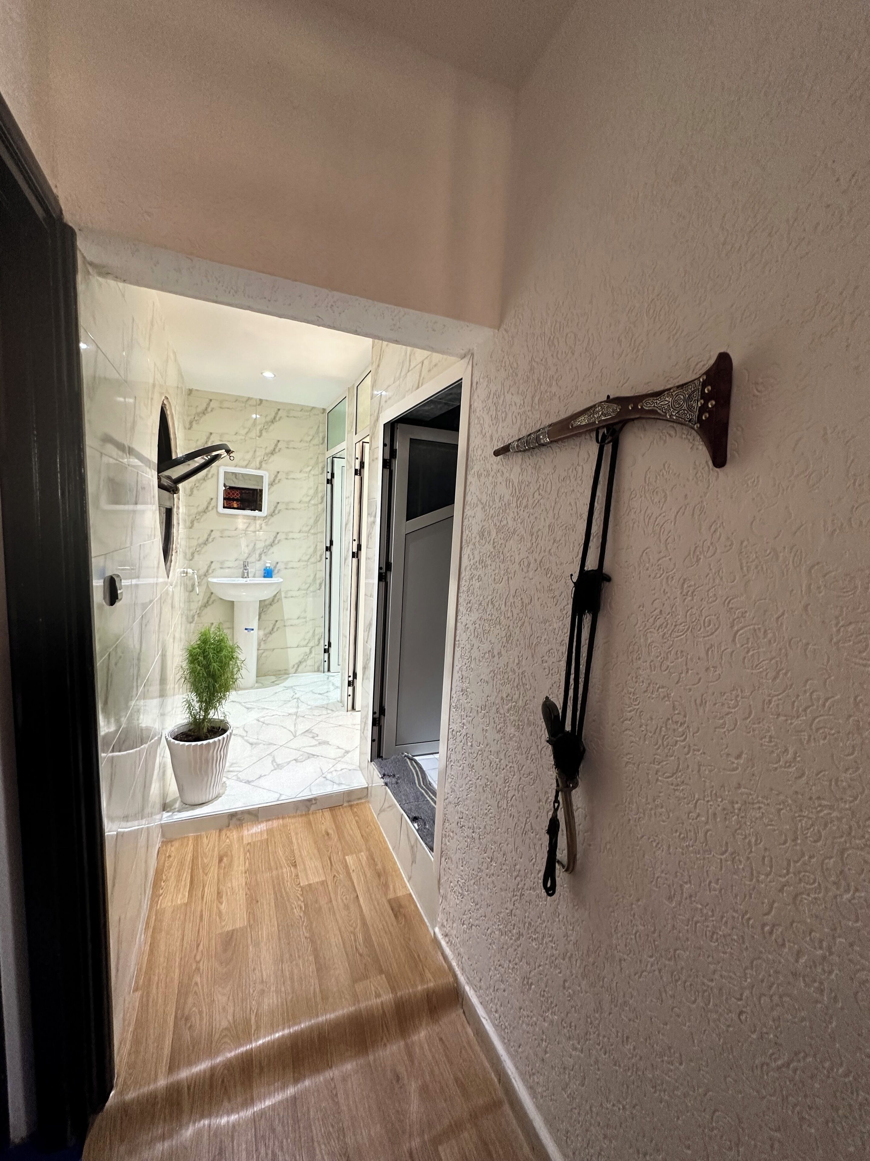 Photo - Dinosaur Anza Surf House