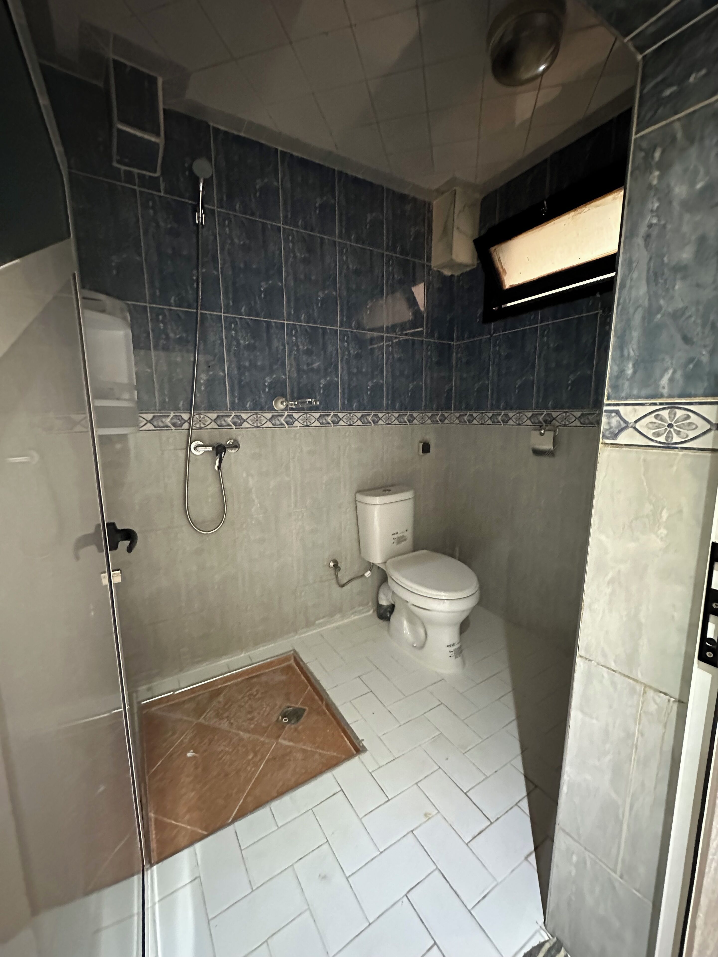 Photo - Dinosaur Anza Surf House