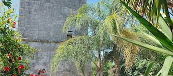 VACATION HOME SURROUNDED BY GREENERY WITHIN WALKING DISTANCE FROM THE SEA