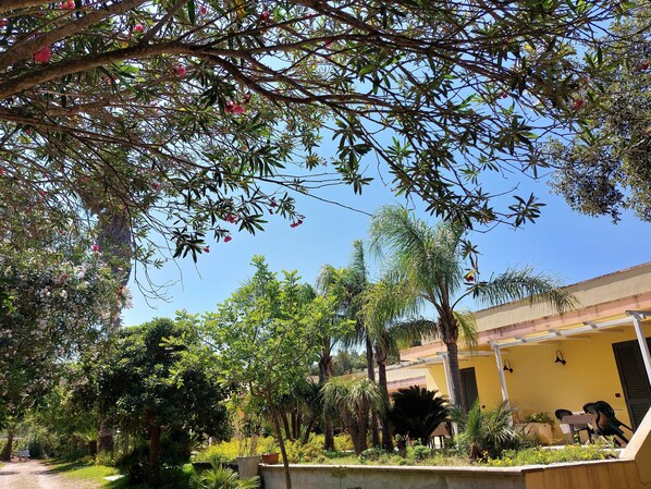 Terrain de l’hébergement 