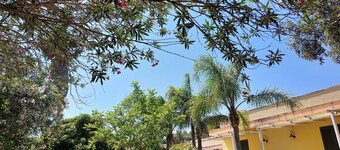 VACATION HOME SURROUNDED BY GREENERY WITHIN WALKING DISTANCE FROM THE SEA