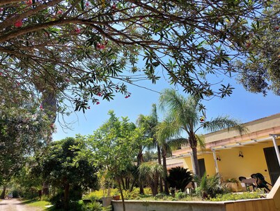 VACATION HOME SURROUNDED BY GREENERY WITHIN WALKING DISTANCE FROM THE SEA