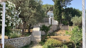 Ein gepflasterter Weg führt zu einem weißen Gebäude mit einer Pergola darüber.