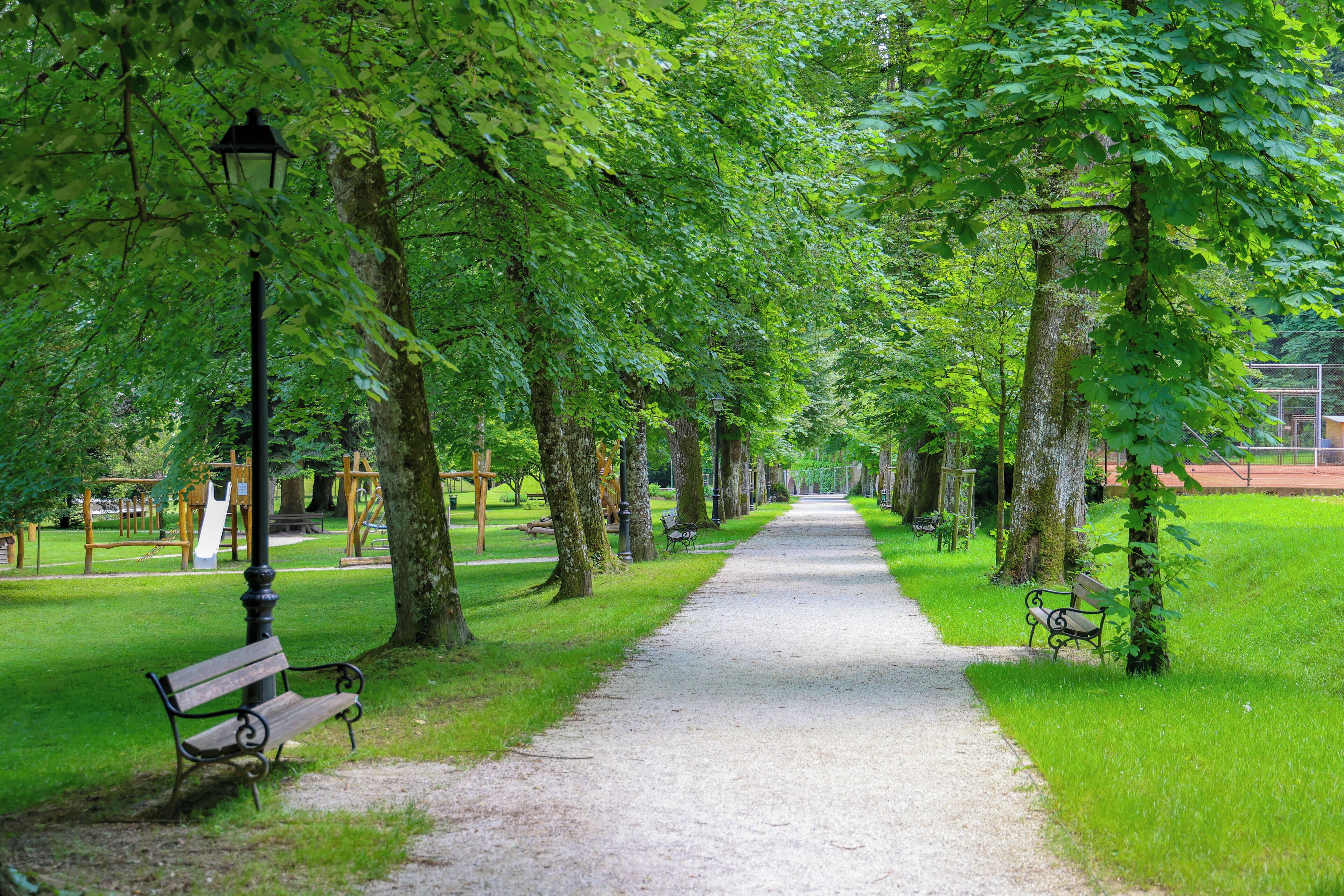 Un sentier bordé de bancs et d’arbres.