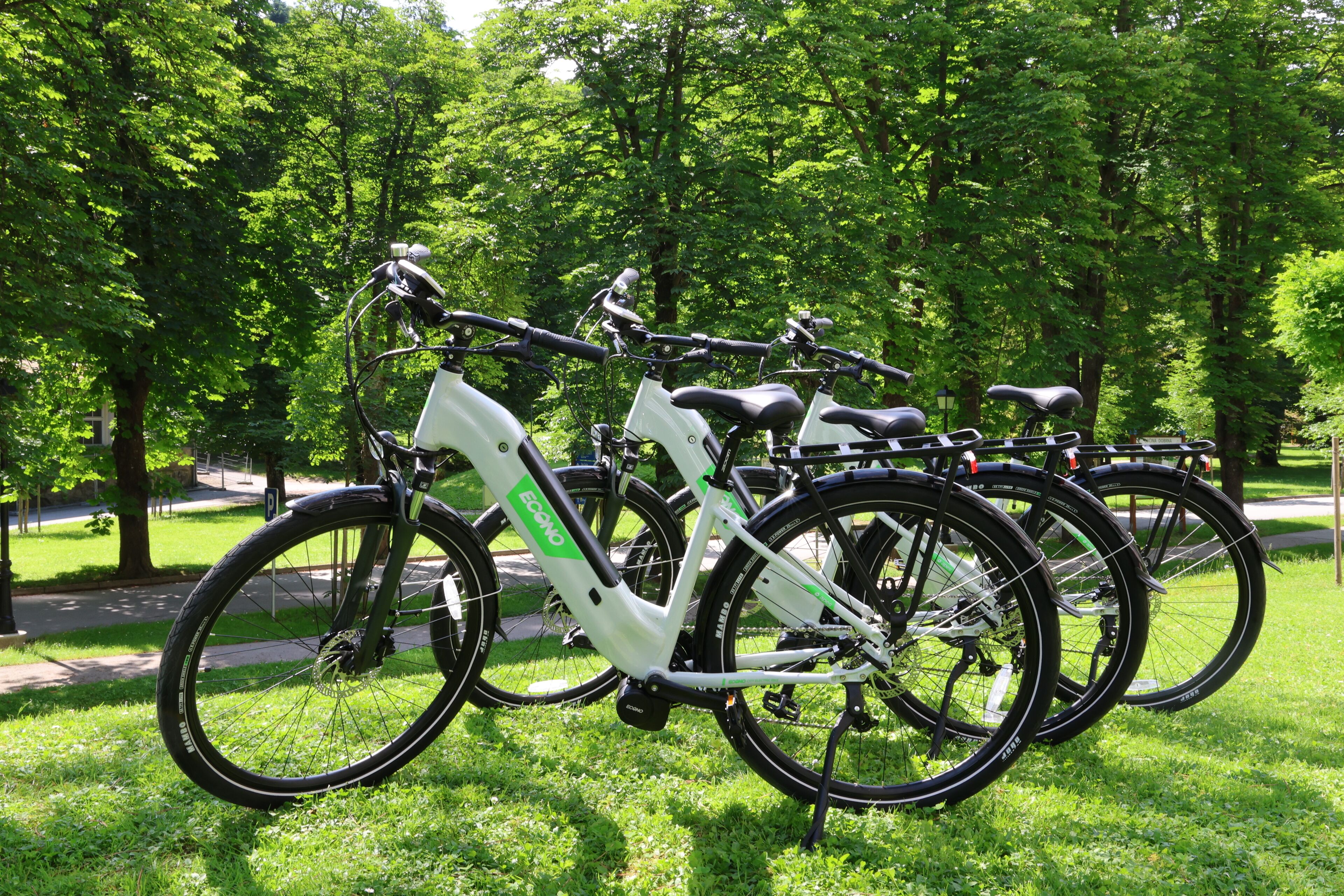Reihe von Ergometer-Rädern, die auf einer Parkwiese geparkt sind.
