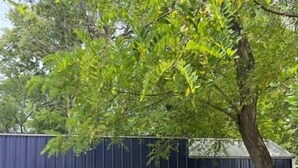 Uma casa móvel compacta e térrea, com fachada azul escura, porta branca e um pequeno alpendre com mesa e cadeiras.