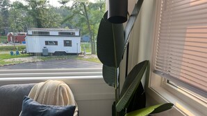 Quarto com vista para um parque de trailers, uma planta grande e uma janela com persianas.
