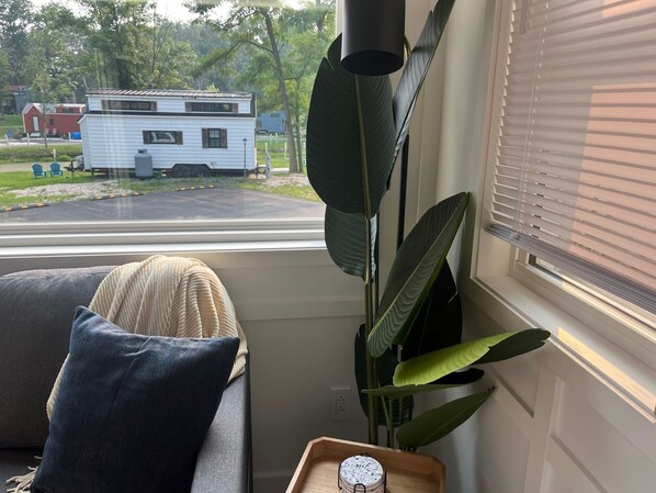 A room with a view of a trailer park, a large plant, and a window with blinds.