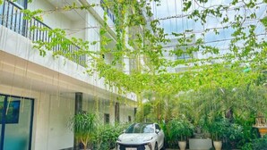 Un área de estacionamiento techada con un coche blanco, rodeada de plantas en macetas y follaje.