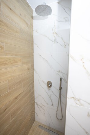 Regadera, secadora de cabello, bidet, toallas 