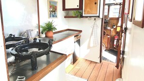 Una cocina compacta con un lavamanos, una planta en maceta y una encimera de madera.