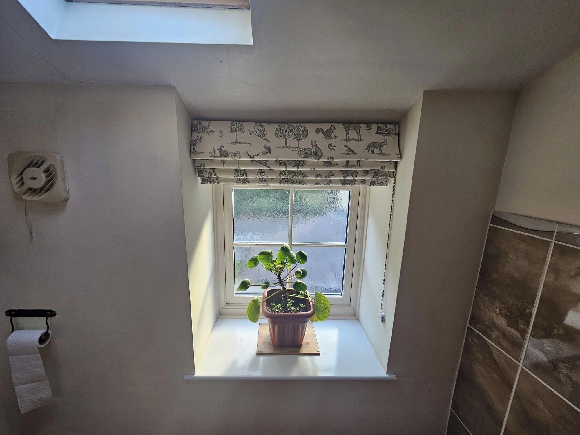 A bathroom with a window, a toilet paper holder, and a wall-mounted fan.