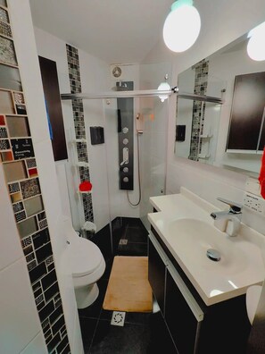 Sèche-cheveux, serviettes fournies, shampoing, papier toilette