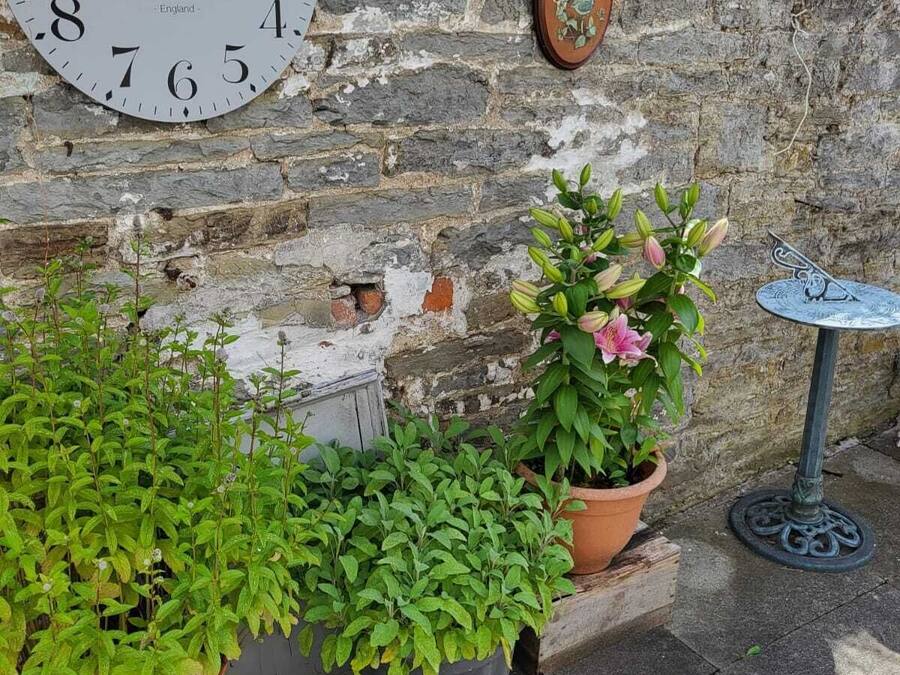A stone wall with a large clock, potted plants, and a small table.