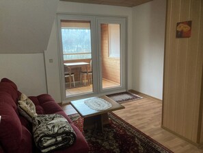 TV, fireplace, DVD player, ping pong