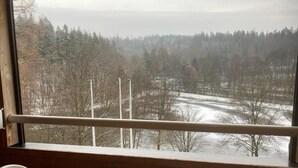 A room with a large window overlooking a snowy landscape with trees and a river. - Immensee I Apartment with lake view surrounded by forest (Ronshausen)