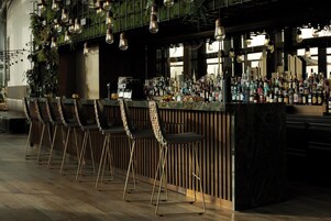 Bar (en la propiedad)