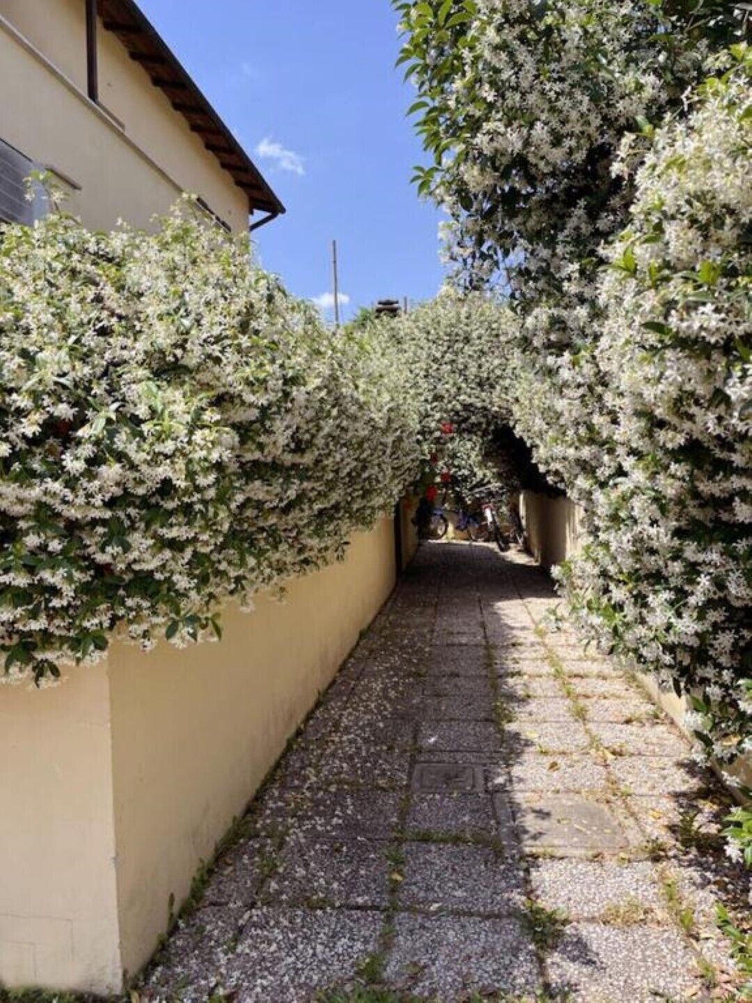 المنطقة المحيطة بالمنشأة