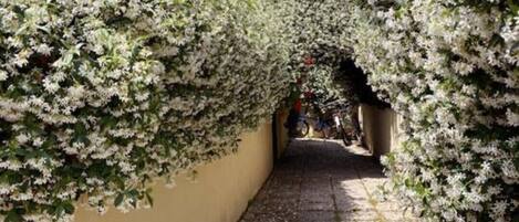 Jardines del alojamiento