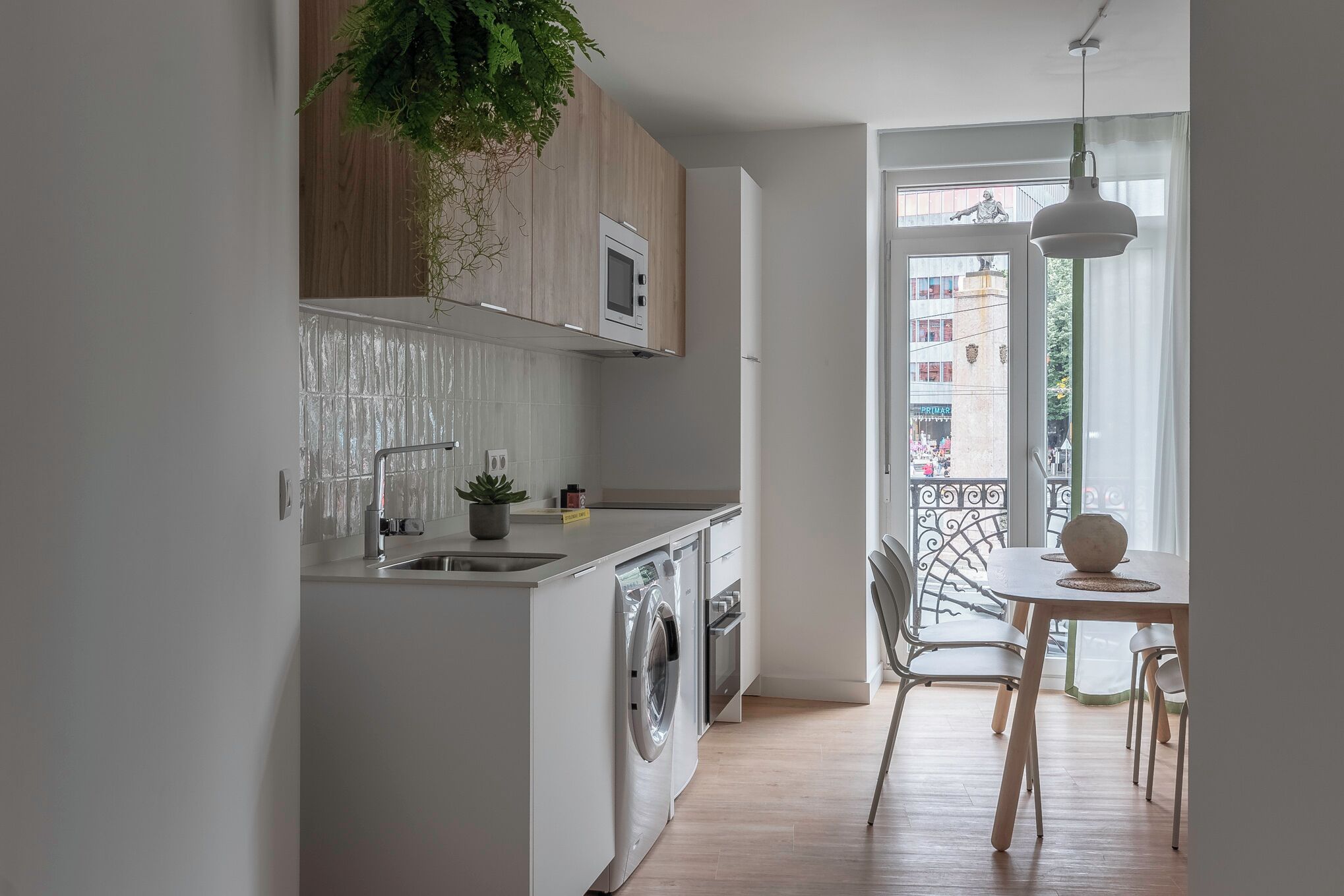 Une cuisine moderne équipée d’un lave-linge intégré, d’un four à micro-ondes et agrémentée d’une plante suspendue.