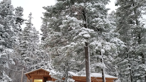 A cabin with a balcony, surrounded by snow-covered trees. - Woodlands Way Chalet- A cozy get-away in Cloudcroft NM.
 (Cloudcroft)