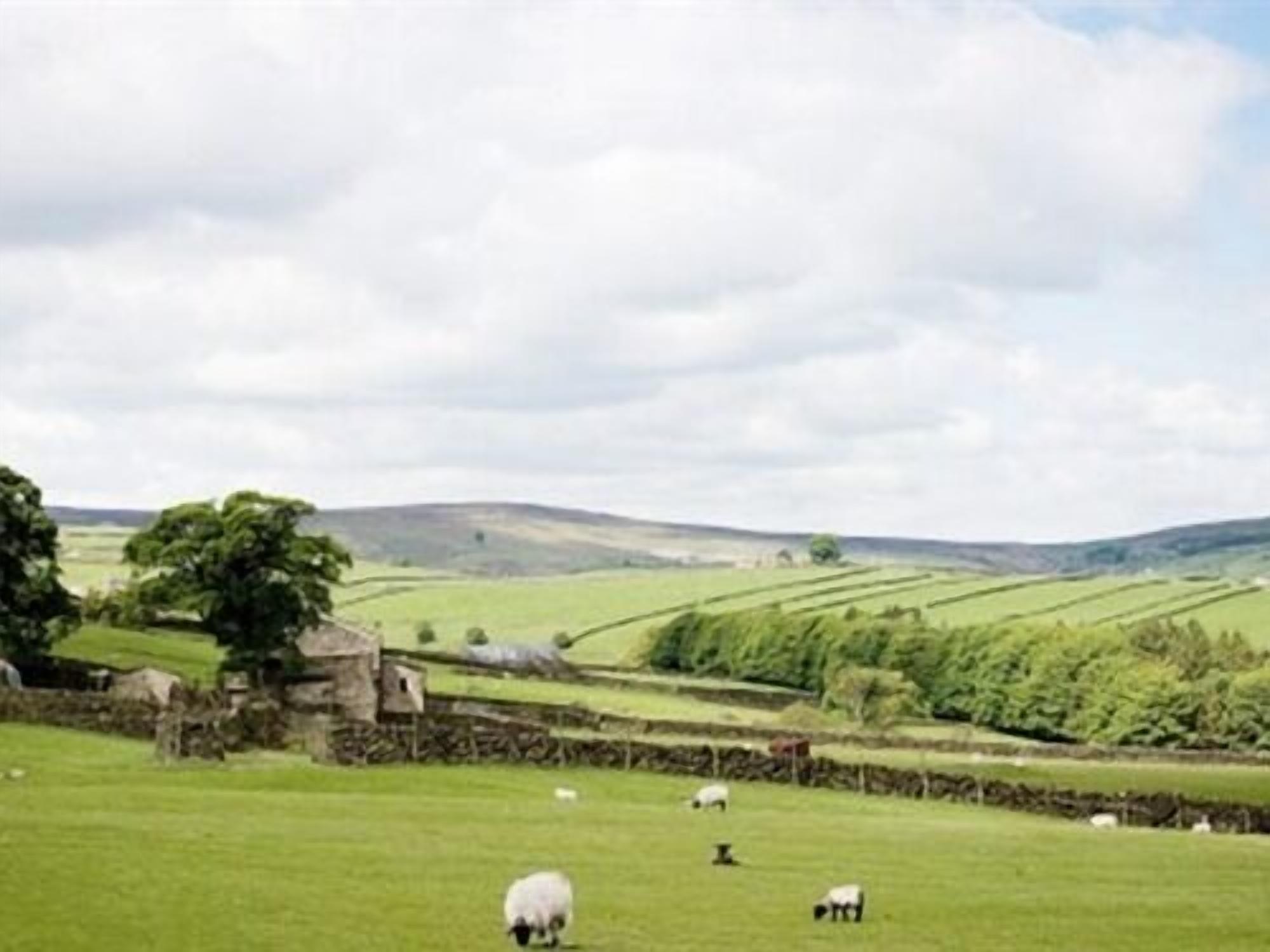 Photo - Leeming Wells 