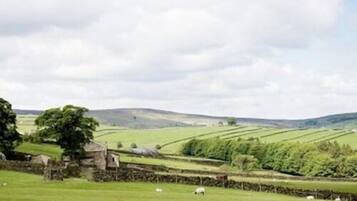 A rural landscape with green fields, sheep grazing, stone walls, and a stone building.
